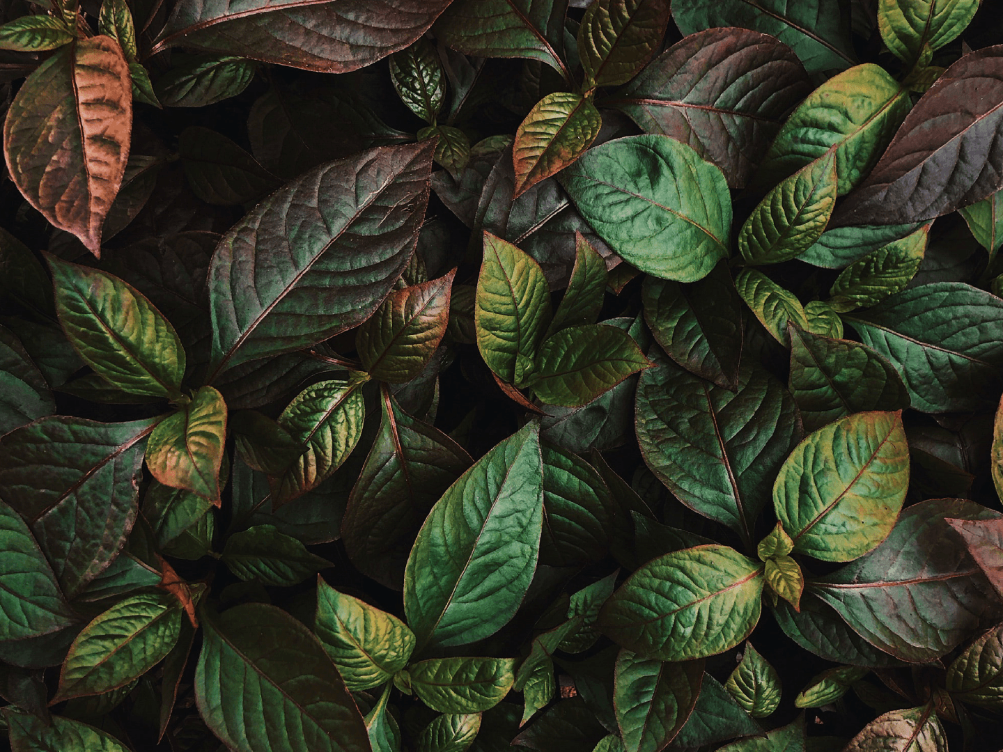 project-Αδειοδότηση μονάδας διαχείρισης κλωστοϋφαντουργικών αποβλήτων